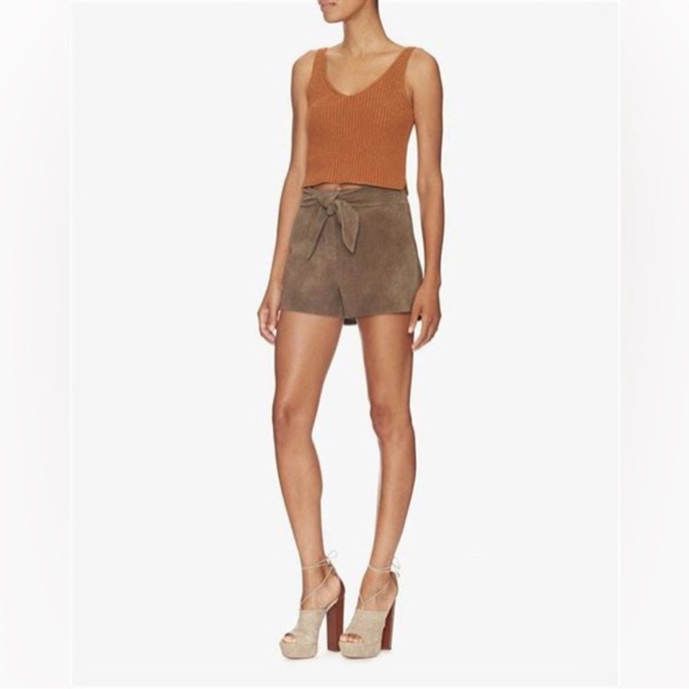 INTERMIX Brown Suede Tie Waist Shorts